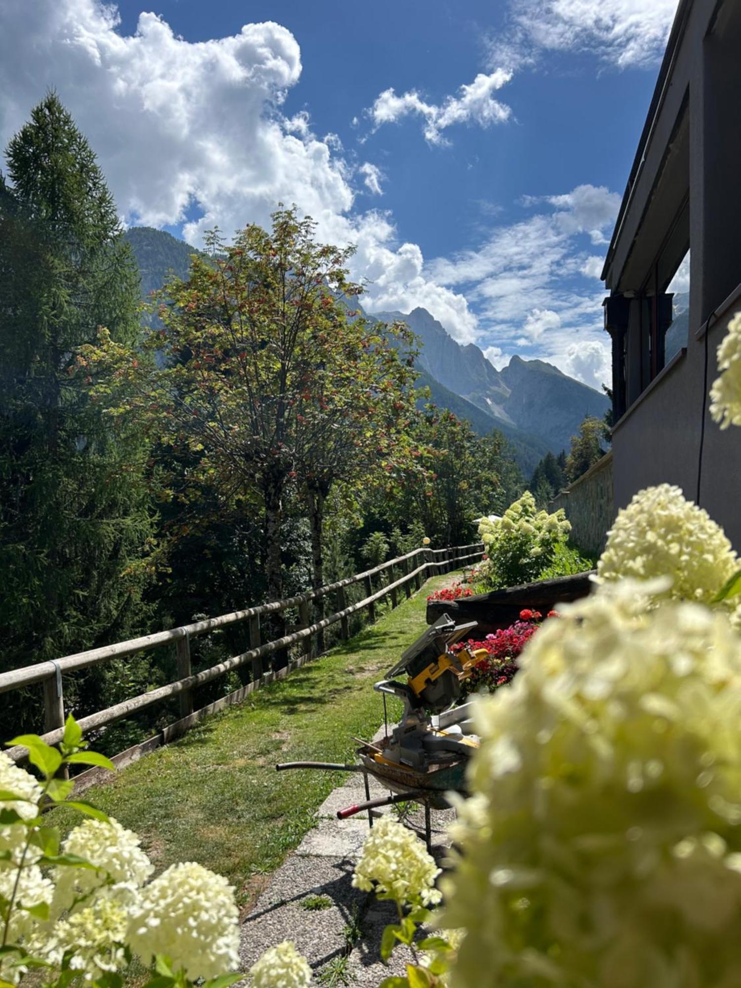 Residence Larici Belvedere Folgarida Exterior foto